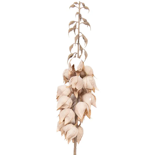 Clayre & Eef Kunstbloem 100 cm Beige Kunststof