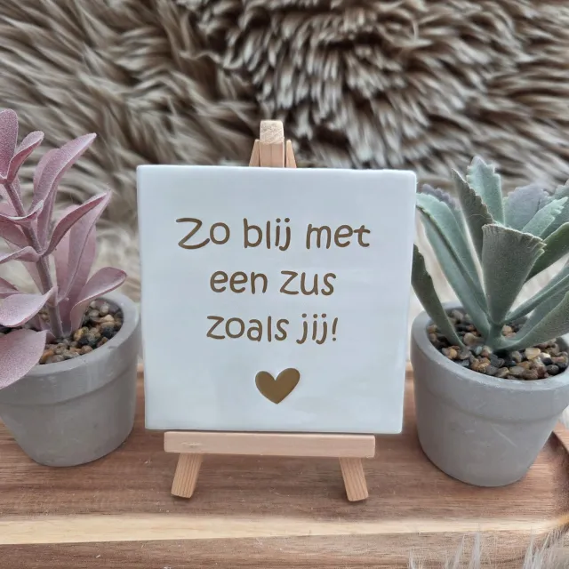 CreaCraft Robuust wenstegeltje: Zo blij met een zus zoals jij! - Tegeltje met tekst - Cadeau voor familie, zus of zomaar – Wenstegeltje - Brievenbuscadeau - CreaCraft - Vriendschap Wit/Goud