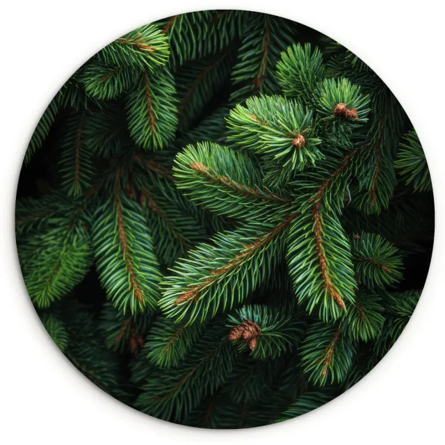 WallCircle Wandcirkel 90x90 cm - Muurcirkel Sparrentakken - Knoppen - Naalden - Groen - Muurdecoratie woonkamer - Wanddecoratie slaapkamer - Kamer decoratie accessoires - Ronde schilderijen