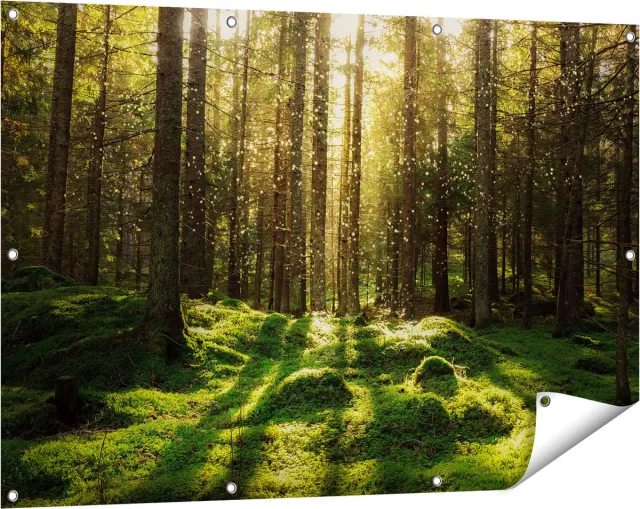 Gards Tuinposter Bos met Groen Mos op de Grond - 120x80 cm - Tuindoek - Tuindecoratie - Wanddecoratie buiten - Tuinschilderij Multikleur