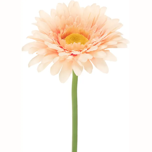 Viana Kunstmatige gerbera's, abrikooskleur, 47 cm, 6 stuks Orange