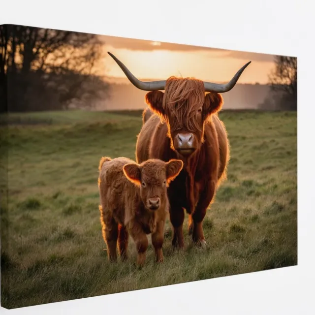 Saammp Canvas Schilderij - Schotse Hooglander Koe tussen de roze bloesem - Dieren - Natuur - 120x80 - Foto op canvas - Wanddecoratie - muurdecoratie Woonkamer - Slaapkamer decoratie - Canvas Print Multicolor