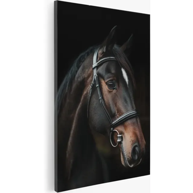 Saammp Canvas Schilderij - Paard - Portret - Manen - Natuur - Dieren - 20x30 - Foto op canvas - Wanddecoratie - Muurdecoratie Woonkamer - Slaapkamer decoratie - Canvas Print Multicolor