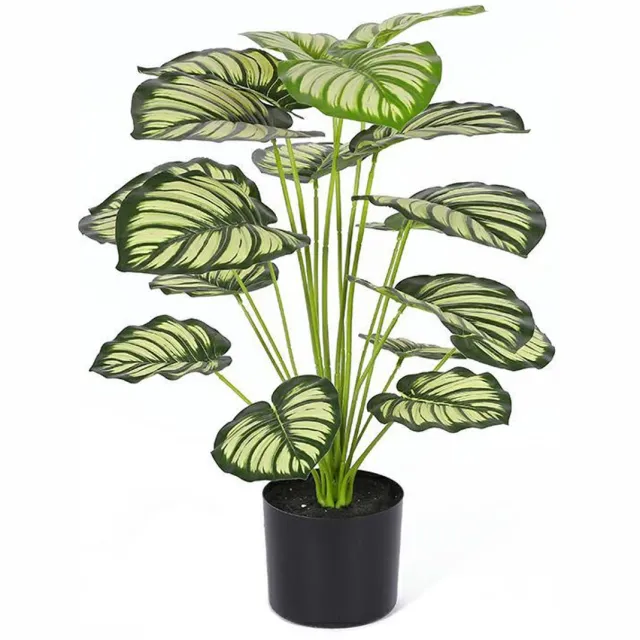 COVREO Kunstplant set van 2 – Nepplant in pot van kunststof – Groene kamerplant voor huis en kantoor – 70x60 cm – Zwart/Groen