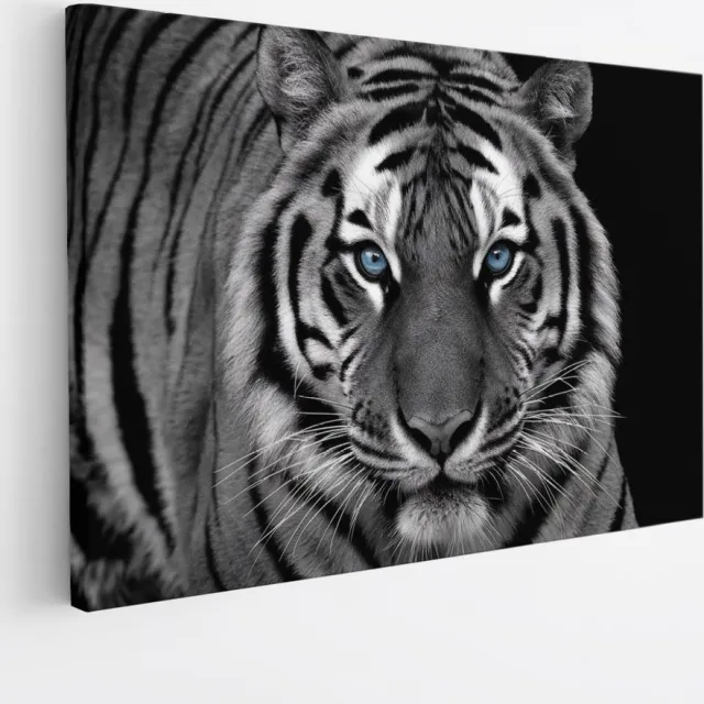 Saammp Canvas Schilderij - Tijger met blauwe ogen- Natuur - Dieren - Zwart-Wit - 40x30 - Foto op canvas - Wanddecoratie - muurdecoratie Woonkamer - Slaapkamer decoratie - Canvas Print Multicolor
