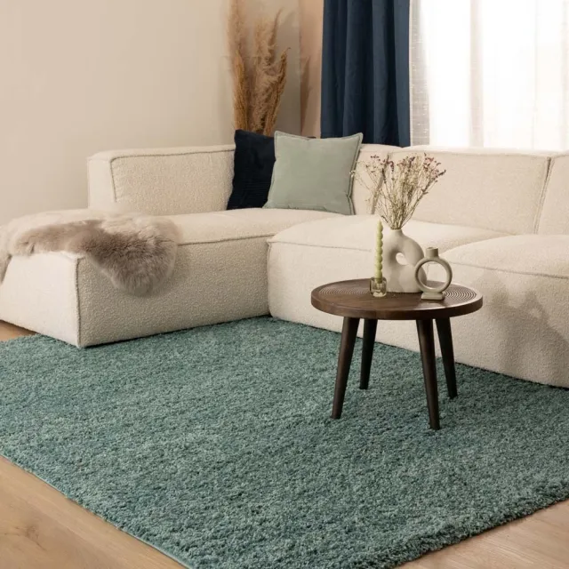 Tapeso Hoogpolig vloerkleed - Shaggy Trend lichtblauw 100x200