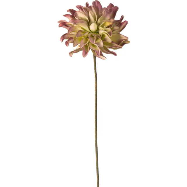 Rawa Decoratie kunstbloem dahlia - violet groen - 80 cm hoog