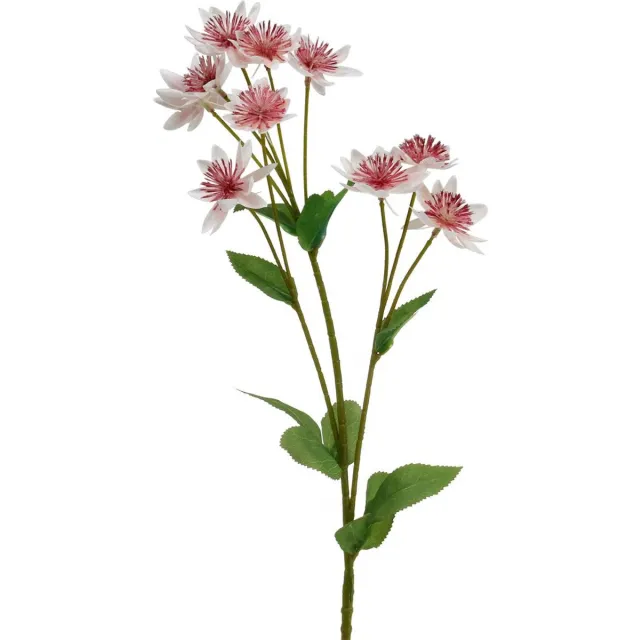 Viana Grote Masterwort Kunstmatige Astrania Zijde Bloem Wit Roze L61cm