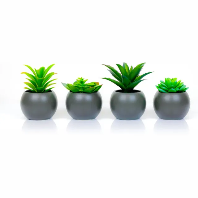 Atmosphera Créateur d'intérieur® Atmosphera Kunstplant - Nepplant - Grijs - Rond - Set van 4 - Met Pot - 12cm - Voor Binnen - Succulent - Wonen & Decoratie - Interieur - Keuken - Badkamer - Woonkamer - Bureau