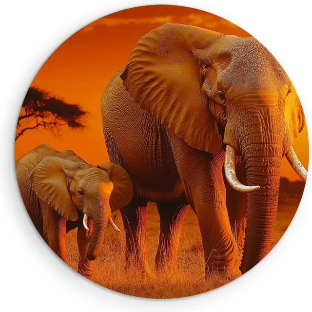 Saammp Muurcirkel Hout - Olifant met kalf in zonsondergang - Afrika - Dieren - Ø 50 - Wandcirkel - Wanddecoratie Cirkel - muurdecoratie Woonkamer - Slaapkamer decoratie - Rond Schilderij