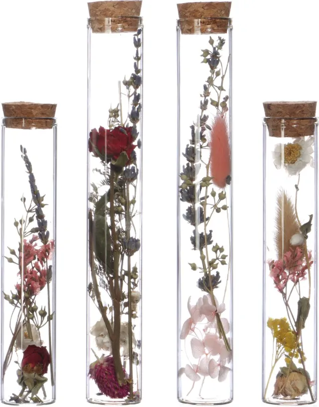 comforder Droogbloemen in Glas - Gedroogde Bloemen Boeket met Vaas - Set van 4 - Inclusief Vaas - In Fles verschillende kleuren