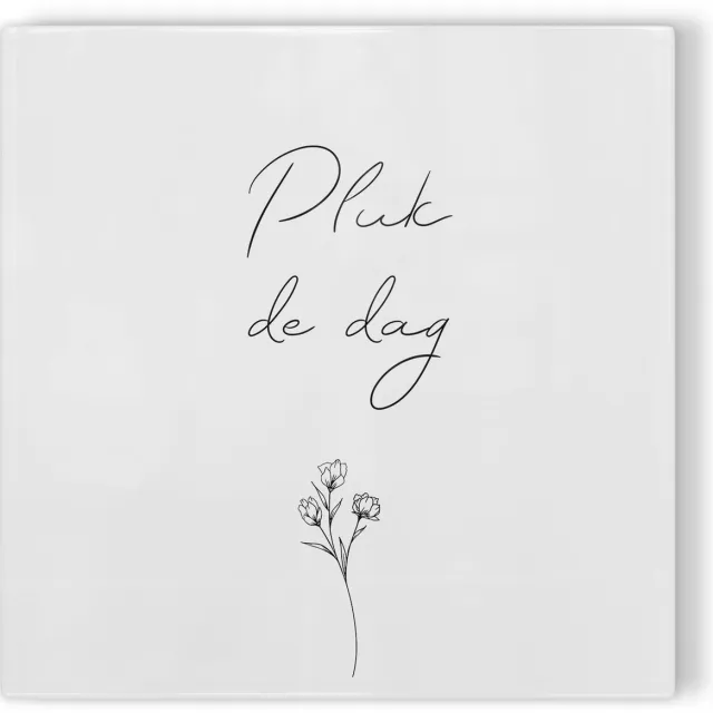 PimpYourGifts.nl Tegeltje Pluk de dag - wit zwart - tegeltje inspiratie - tegeltje met tekst