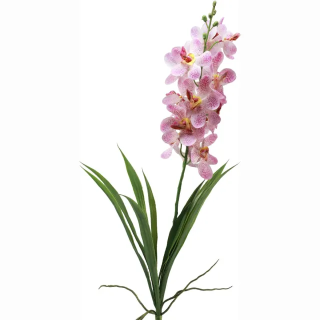Viana Kunstorchidee Roze Witte Kunstbloemorchidee 73cm