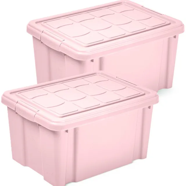 PLASTICFORTE Multi Storage Opslagbox met deksel - 2x - roze - 16 liter - 40 x 30 x 21 cm - kunststof - opbergdoos - opbergen