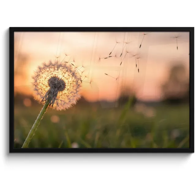 FrameYourWall Poster in lijst - Fotolijst 90x60 cm - Posters - Paardenbloem - Zonsondergang - Veld - Posterlijst zwart - Decoratie - Wanddecoratie woonkamer - Muurdecoratie slaapkamer
