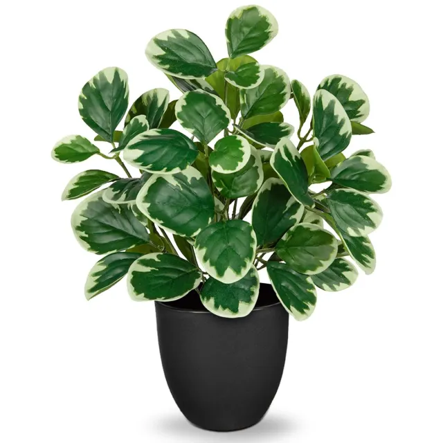 Unyqoos Realistische 37 cm Kunstplant in Pot voor Huis en Kantoor Decoratie, groente, 37cm
