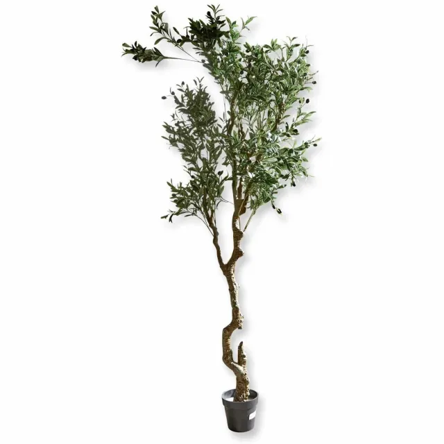 Loberon Sierpotplant Dambly groen
