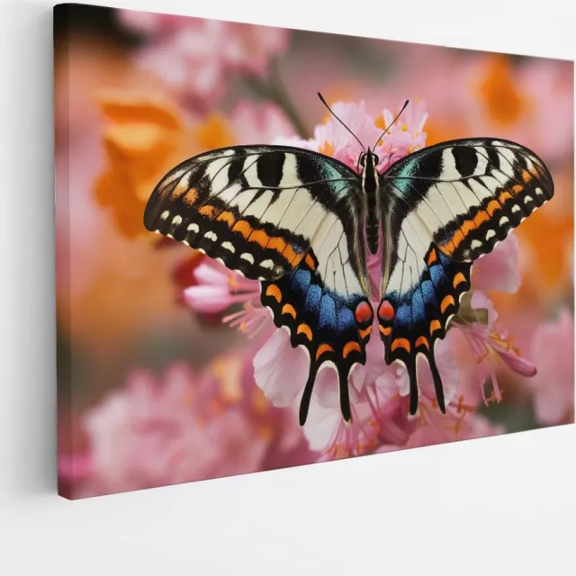 Saammp Canvas Schilderij -Kleurrijke Vlinder - Bloemen - Dieren - 100x75 - Foto op canvas - Wanddecoratie - muurdecoratie Woonkamer - Slaapkamer decoratie - Canvas Print Multicolor