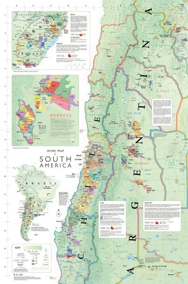 Delong Wines Poster - Wijnkaart Zuid-amerika - 60.96 X 91.44 Cm - Multicolor