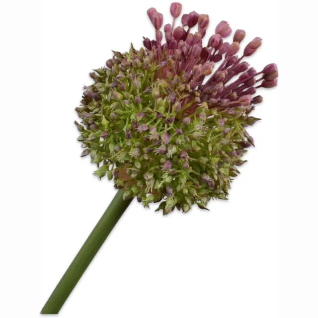 Silk-ka Kunstbloem - paars - H87 cm
