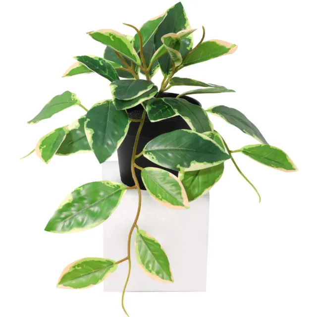 Trendyplants Kunst Hoya Variegata - Bonte Wasbloem - Kunstplant - Hoogte 23cm - Potmaat Ø9cm Groen