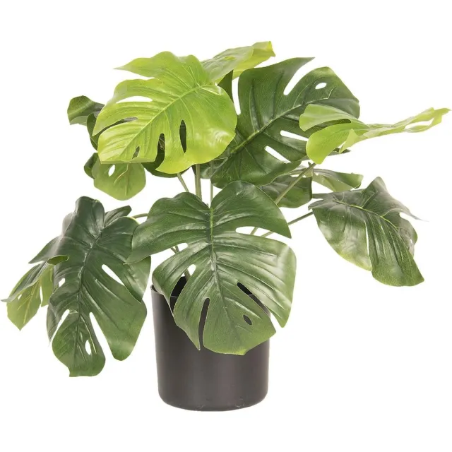 Clayre & Eef Kunstplant 40 cm Groen Kunststof