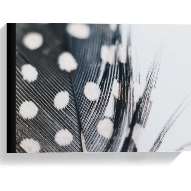 KuijsFotoprint Canvas - Veer met Stippen in Zwart Wit - 40x30cm Foto op Canvas Schilderij (Wanddecoratie op Canvas)