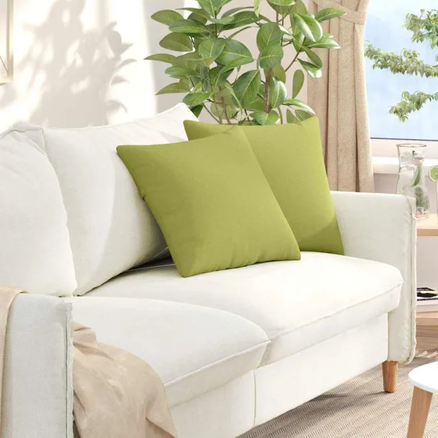 vidaXL Sofa Kussens 2 st Stof Lichtgroen 45 x 45 cm