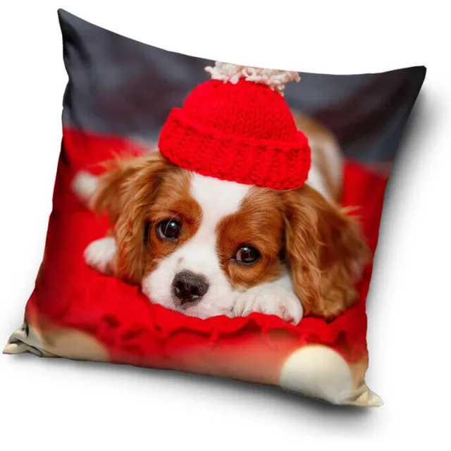 HUISDIER N HUISDIER Puppy Kussen Hond Sierkussen kooiker 40x40cm Rood