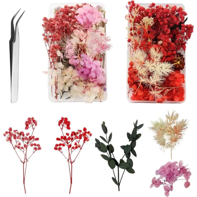 Cosensi Gedroogde Bloemen voor Kaarsen met Pincet - Manicure en Thuisdecoratie - Set van 2 Groen