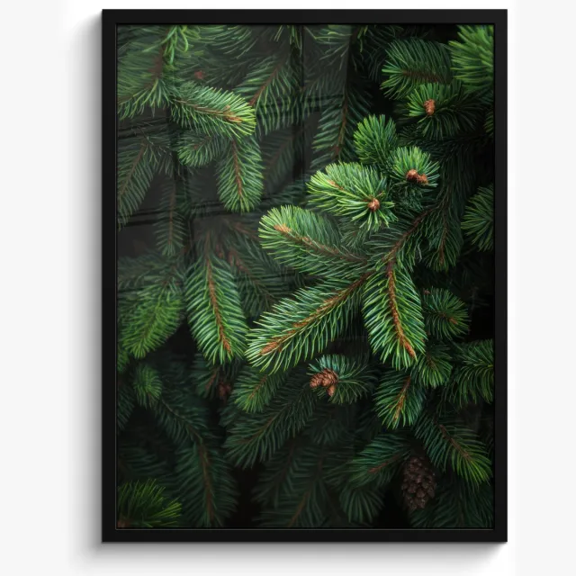 FrameYourWall Poster in lijst - Fotolijst 60x80 cm - Posters - Sparrentakken - Knoppen - Naalden - Groen - Posterlijst zwart - Decoratie - Wanddecoratie woonkamer - Muurdecoratie slaapkamer