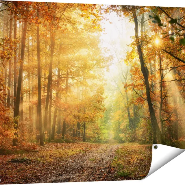 Gards Tuinposter Herfstbos met Zonneschijn - 100x80 cm - Tuindoek - Tuindecoratie - Wanddecoratie buiten - Tuinschilderij Multikleur