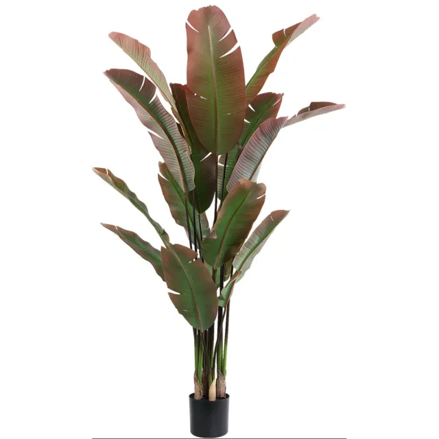 PTMD Tree Dark Green With Red Strelitzia Tree Black Pot