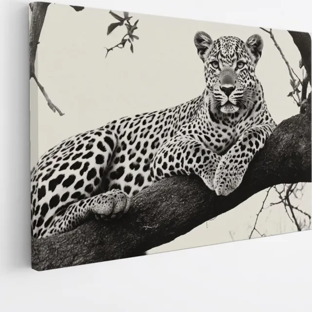 Saammp Canvas Schilderij - panter op boom in zonsondergang - Natuur - Dieren - 50x40 - Foto op canvas - Wanddecoratie - Muurdecoratie Woonkamer - Slaapkamer decoratie - Canvas Print Multicolor