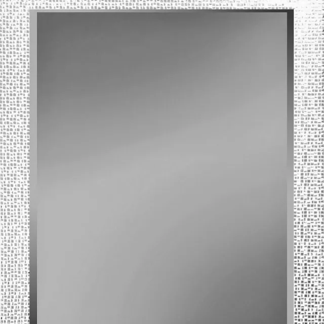 Ter Halle Spiegel met facet 39x39x1.5 Zilver