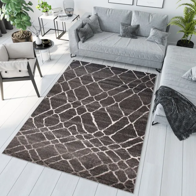 Tapiso Sari Vloerkleed Karpet Laagpolig Tapijt Donker 2