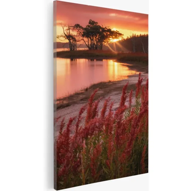 Saammp Canvas Schilderij - Rode Planten - Landschap - Zon - Bloemen - Natuur - 20x30 - Foto op canvas - Wanddecoratie - Muurdecoratie Woonkamer - Slaapkamer decoratie - Canvas Print Multicolor