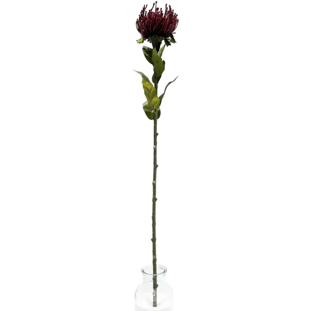 homebound by ky Kunsttak Protea 73cm burgundy Rood