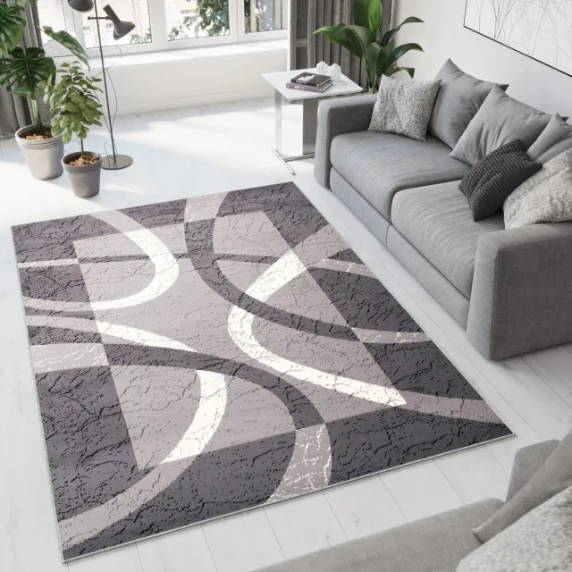 Tapiso Dream Vloerkleed Grijs Wit Modern Cirkels Woonkamer Tapijt Maat- 250x350