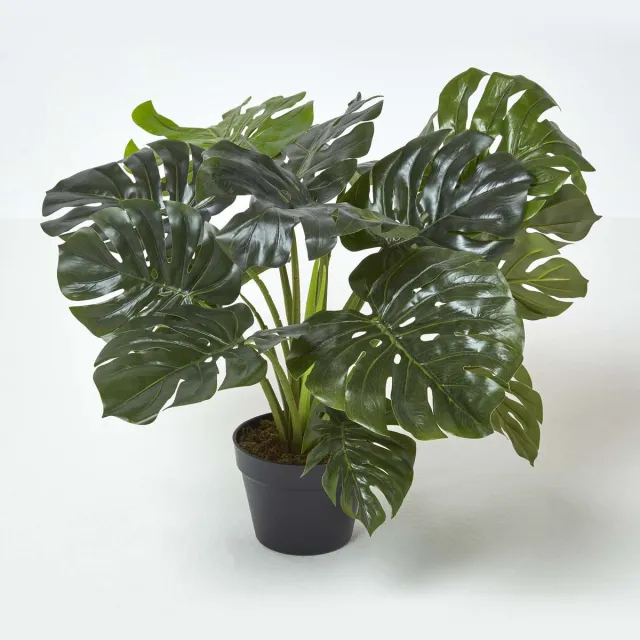 Homescapes Monstera kunstplant in pot - 60 cm Groen