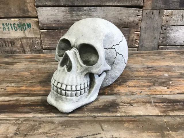 A&S Estates Betonnen tuinbeeld - schedel / skull grijs