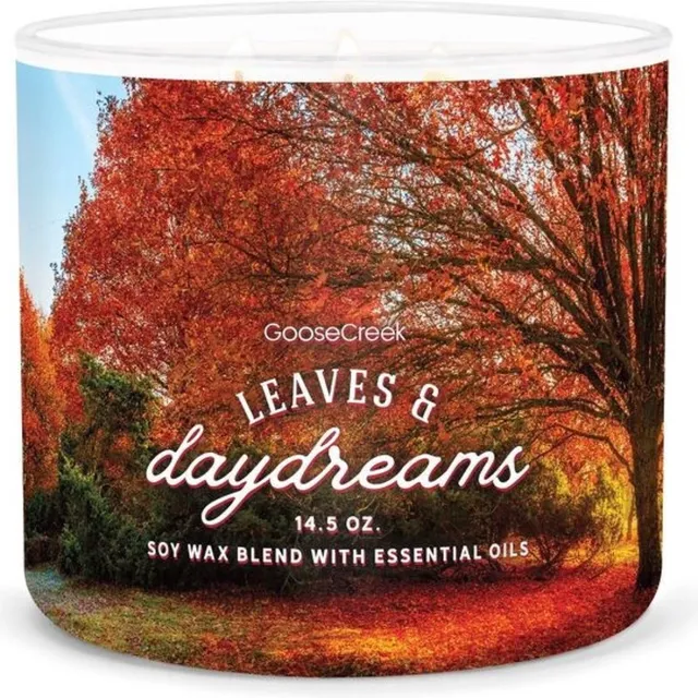 Goose Creek Candle Leaves & Daydreams Goose Creek Candle Large 3-Wick Candle zilver blauw rood geel wit zwart groen geel