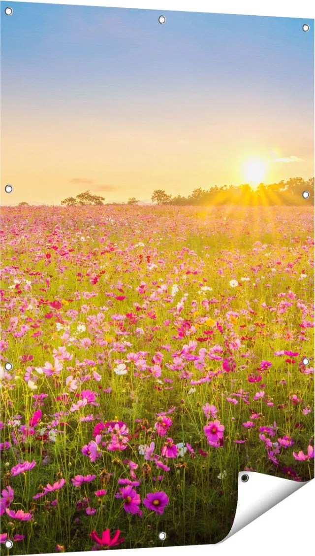 Gards Tuinposter Bloemenveld met Roze Kosmos - 80x120 cm - Tuindoek - Tuindecoratie - Wanddecoratie buiten - Tuinschilderij Multikleur