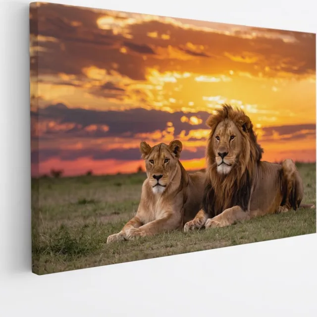 Saammp Canvas Schilderij - 2 Leeuwen in zonsondergang - Afrika -Dieren - Natuur - 90x60 - Foto op canvas - Wanddecoratie - Muurdecoratie Woonkamer - Slaapkamer decoratie - Canvas Print multicolor