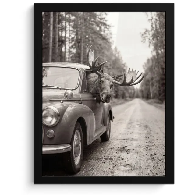 FrameYourWall Poster in lijst - Fotolijst 30x40 cm - Posters - Eland - Auto - Gewei - Zwart - Wit - Posterlijst zwart - Decoratie - Wanddecoratie woonkamer - Muurdecoratie slaapkamer