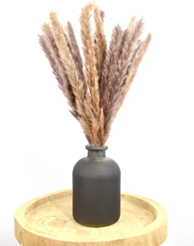 Natuurlijk Bloemen Fluffy Pampas - Droogbloemen - Pampas pluimen - 50 cm - Natuurlijk Bloemen Bruin