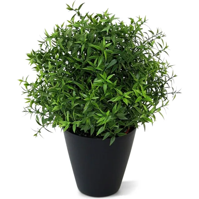 maxifleur Kunstplanten Eucalyptus kunstplant 35cm Groen