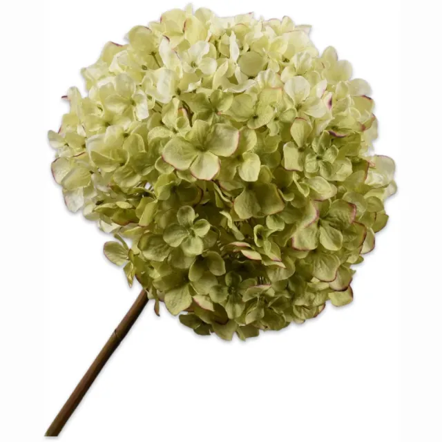 Silk-ka Hortensia tak groen/roze 79 cm