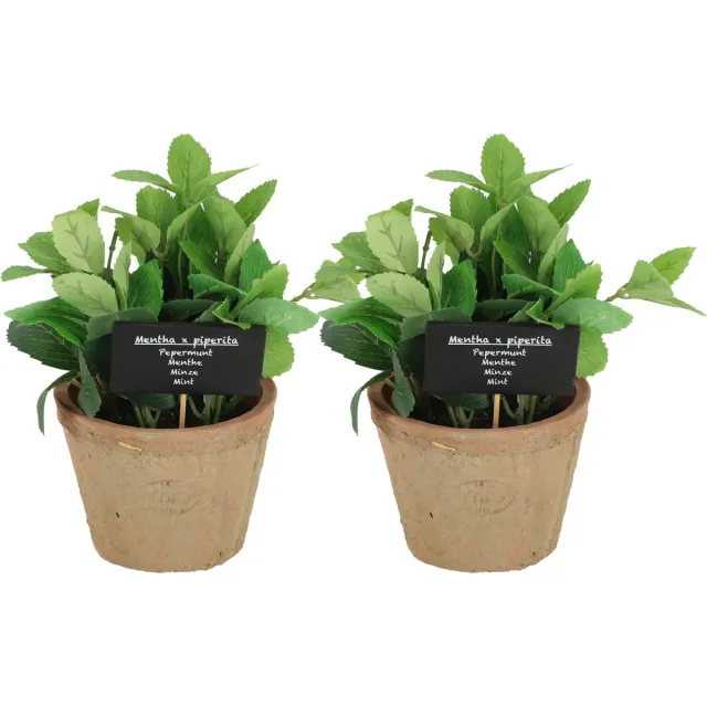 True to Nature Esschert Design Kunstplant/kruiden munt - 2x - in oude terracotta pot - 20 cm - kruiden Terracotta bruin