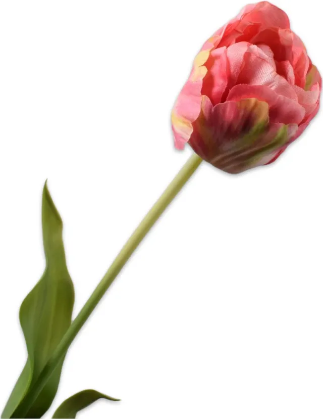 Silk-ka Kunstbloem-Zijden Bloemen Tulp Steel Roze-Geel 66 cm